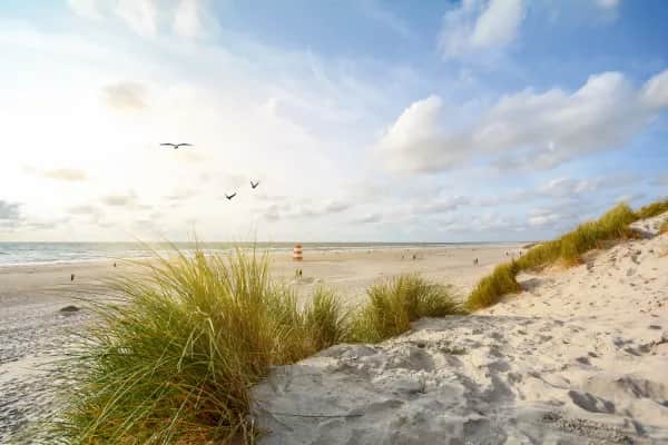 Ferienhaus am Wattenmeer – Perfekt für Familien und Paare