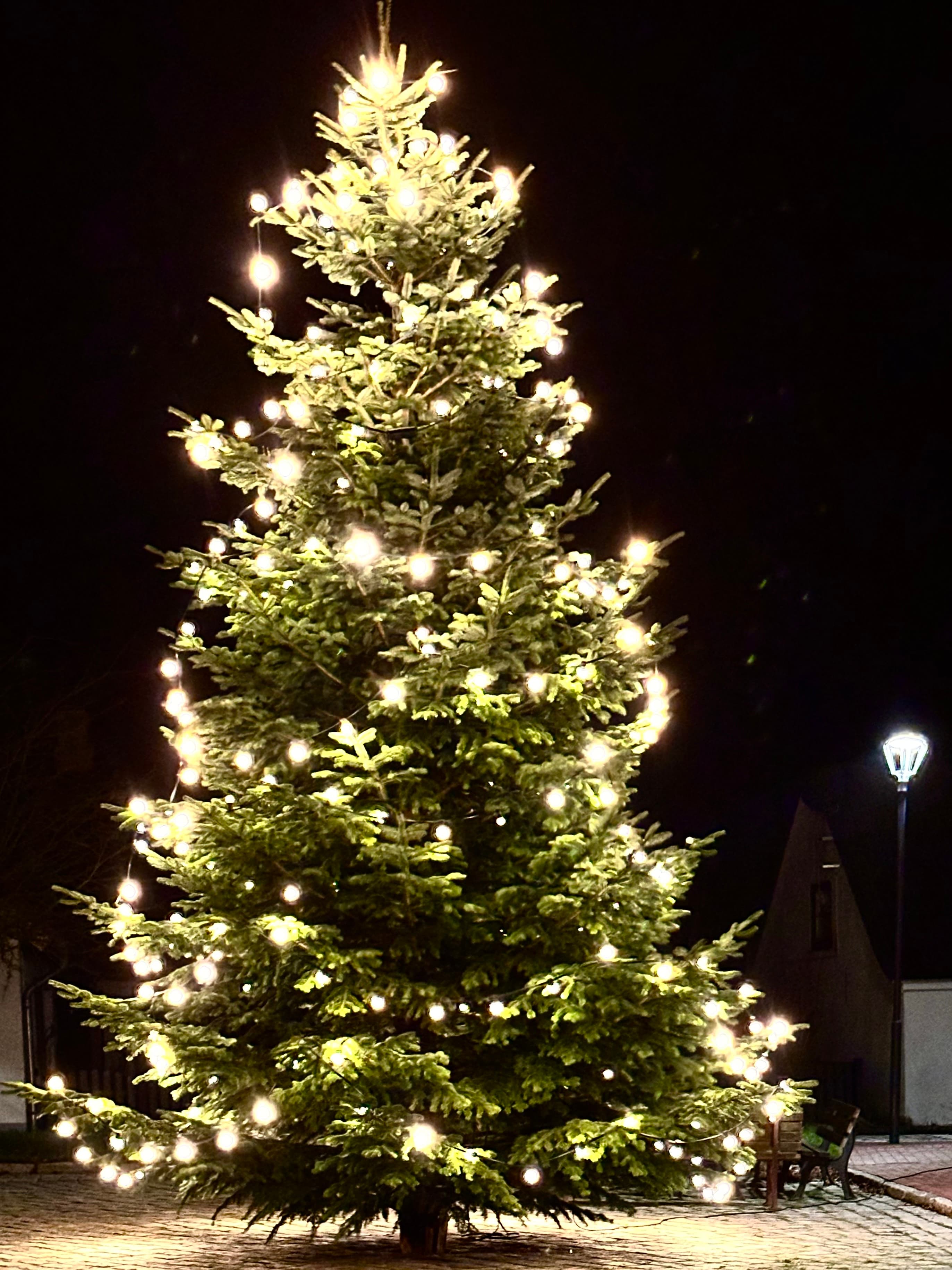 Weihnachten & Silvester an der Nordsee