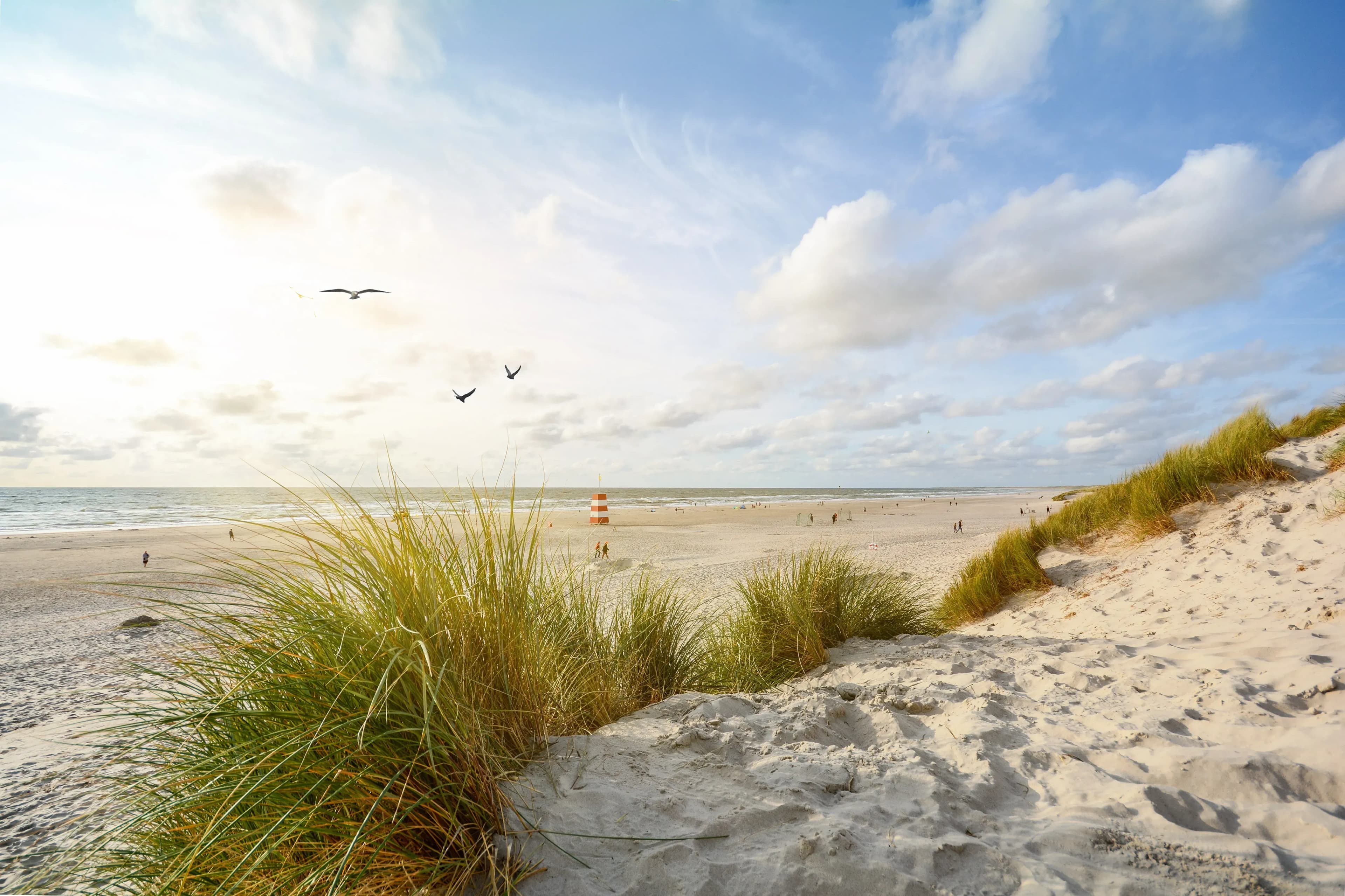 Gästehaus nahe St. Peter-Ording – Perfekt für Ihren Urlaub