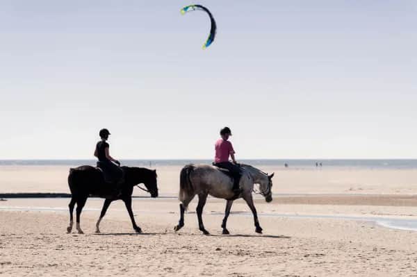 Reiten am Meer – Am kilometerweiten Strand von St. Peter-Ording